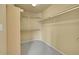 Spacious walk-in closet featuring carpeted flooring, rod and shelf storage and neutral paint at 18142 E Oakwood Pl, Aurora, CO 80016
