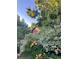 Lush backyard featuring a charming shed surrounded by vibrant greenery and bright orange daylilies at 124 E Colorado Ave # 2, Denver, CO 80210