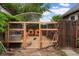 Backyard chickens in a enclosed coop, with mature tree and wooden fence at 4210 S Fox St, Englewood, CO 80110
