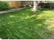 Spacious backyard with a large tree, swing, lush green grass, and wooden fence, perfect for outdoor enjoyment at 8217 Club Crest Dr, Arvada, CO 80005