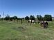Horses grazing in a lush pasture with a barn in the distance at 17450 E 14Th Dr, Aurora, CO 80011