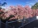 A wooden deck with white railing offers a lovely view of pink flowering trees at 1013 E 130Th Dr, Thornton, CO 80241