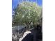 Outdoor deck offers plenty of space for entertaining and relaxing with beautiful flowering trees at 1013 E 130Th Dr, Thornton, CO 80241