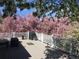 Relaxing deck features ample space for outdoor furniture, grilling, and enjoyment of the blooming trees at 1013 E 130Th Dr, Thornton, CO 80241