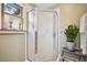 Well-lit bathroom featuring a glass-enclosed shower, vintage window, and charming plant decor at 6565 Marshmerry Ln, Evergreen, CO 80439