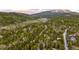 Picturesque aerial view of homes nestled among trees, highlighting the community's serene and natural setting at 215 Royal Tiger Rd, Breckenridge, CO 80424