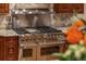 Close up view of a modern gourmet stove with stainless steel accents and stone countertops at 215 Royal Tiger Rd, Breckenridge, CO 80424