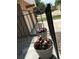 Charming front porch adorned with flower pots and a stylish metal railing at 6411 W 82Nd Dr, Arvada, CO 80003