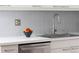 Kitchen featuring stainless steel sink, modern faucet and white countertops at 836 E 17Th Ave # 2B, Denver, CO 80218