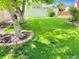 Well-manicured backyard with lush green grass and shade trees, offering a tranquil outdoor retreat at 16308 E Wyoming Dr, Aurora, CO 80017