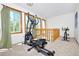 Bonus room showcasing exercise equipment, carpeting and natural lighting at 1673 Woodmoor Dr, Monument, CO 80132