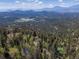 Breathtaking aerial view of home nestled in a lush forest with majestic mountains in the distance at 11650 Baca Rd, Conifer, CO 80433