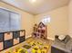 Playroom featuring storage shelves, a toy dollhouse, and a patterned rug at 2104 Vineyard Dr, Castle Rock, CO 80104
