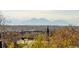City skyline view showcasing buildings and mountains in the background at 907 E 22Nd Ave, Denver, CO 80205