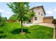 Home's backyard featuring lush green grass, mature trees, and a partially covered patio at 1339 Sidewinder Cir, Castle Rock, CO 80108