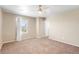 Bright bedroom with neutral walls, carpet, a ceiling fan, and natural light from the window at 1339 Sidewinder Cir, Castle Rock, CO 80108