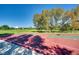 Community basketball court with mature trees and blue skies at 16200 Hedgeway Dr, Parker, CO 80134