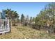 Large backyard featuring a mix of grass, a wooden fence, and mature trees, perfect for outdoor activities at 4222 S Himalaya Way, Aurora, CO 80013