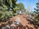 Lush backyard featuring a stone-lined stream, mature trees, and well-maintained landscaping at 12160 Spring Creek Rd, Parker, CO 80138