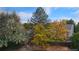 View of a backyard with trees in fall colors, enclosed by a wooden fence, surrounded by neighboring houses at 10408 Strasburg Way, Parker, CO 80134