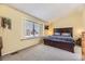 Light-filled main bedroom with a large window and neutral carpet and light yellow paint at 10408 Strasburg Way, Parker, CO 80134