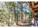Breathtaking views of the surrounding forest from the spacious deck, offering a seamless indoor/outdoor living experience at 7105 Flagstaff Rd, Boulder, CO 80302