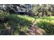 Secluded exterior of a cabin nestled among tall green trees and lush grass on a sunny day at 7105 Flagstaff Rd, Boulder, CO 80302