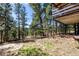 Exterior view of a large wooden deck showing the natural landscape filled with tall trees at 7105 Flagstaff Rd, Boulder, CO 80302