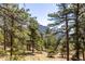 Forested land with mature trees and mountain views at 7105 Flagstaff Rd, Boulder, CO 80302