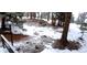 Scenery of a snowy lot with lots of trees at 7105 Flagstaff Rd, Boulder, CO 80302