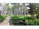 Lovely trail through Myer's Gulch parkland with wildflowers, a short bike ride or drive away at 7105 Flagstaff Rd, Boulder, CO 80302
