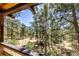 View from deck featuring forest trees at 7105 Flagstaff Rd, Boulder, CO 80302