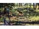 Buck crosses a grassy lawn with trees and rocks in the background and a pole in the foreground at 7105 Flagstaff Rd, Boulder, CO 80302