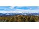 Picturesque mountain views; the house is surrounded by green treetops at 401 Highway 72, Golden, CO 80403
