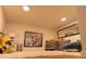Carpeted bonus room with unique decor and playful elements, creating a cozy and fun space for relaxation at 16382 E 111Th Dr, Commerce City, CO 80022