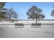 Two park benches overlooking a snow covered lake at 1825 Kendall St # 101, Lakewood, CO 80214