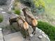 Two elks graze in the yard. Near yellow wild flowers and well-kept green bushes at 730 Summerwood Dr, Golden, CO 80401