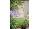 Back entrance showcasing a beautifully landscaped garden with potted plants and a cream-colored door at 506 N Marion St, Denver, CO 80218