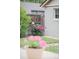 Charming backyard with wooden fence and bright pink flowers near a garden and walkway at 506 N Marion St, Denver, CO 80218