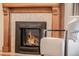 Close-up of a fireplace with wooden mantle, decorative tile, and glass screen at 506 N Marion St, Denver, CO 80218