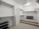 Walk-in closet offering shelving, hanging racks, carpet, and built-in dresser for maximum storage at 6877 Northstar Ct, Castle Rock, CO 80108