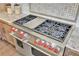 Close up on a stainless-steel chef's stove with 6 burners and red knobs at 5388 Water Oak Cir, Castle Rock, CO 80108