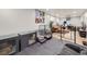 Spacious finished basement with dog kennel at 1140 S Elm St, Denver, CO 80246