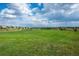 Large grassy park area at 12664 Ulster St, Thornton, CO 80602