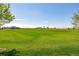 Expansive green space provides a serene and open environment, ideal for recreation and relaxation at 9886 Ceylon Ct, Commerce City, CO 80022