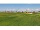 Expansive green space featuring a covered picnic area and playground, ideal for recreation and relaxation at 9886 Ceylon Ct, Commerce City, CO 80022