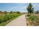 Concrete walkway winding through a natural green space at 12665 Grove Ct, Broomfield, CO 80020