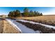 House nestled amongst evergreens with a grassy yard and snow at 1120 Antelope W Dr, Bennett, CO 80102