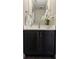 Stylish vanity with a modern faucet, dark cabinets, and a light countertop paired with a decorative orchid at 2879 W Parkside Pl, Denver, CO 80221