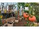 Rows of vibrant red and green tomatoes growing in a greenhouse with watering system at 2879 W Parkside Pl, Denver, CO 80221